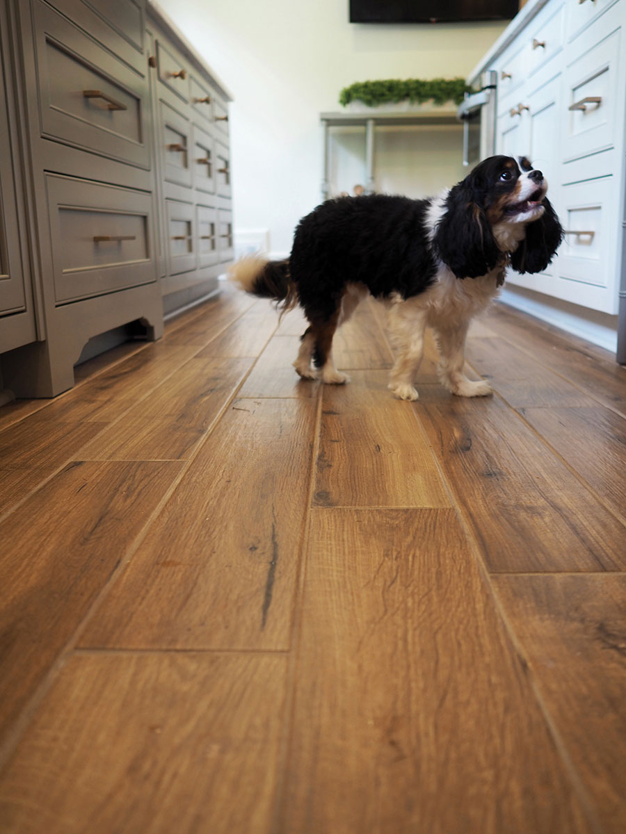 MSI Palmetto Cognac 6 x 36 Matte Porcelain tile (NPALCOG6X36) – MSI room scene