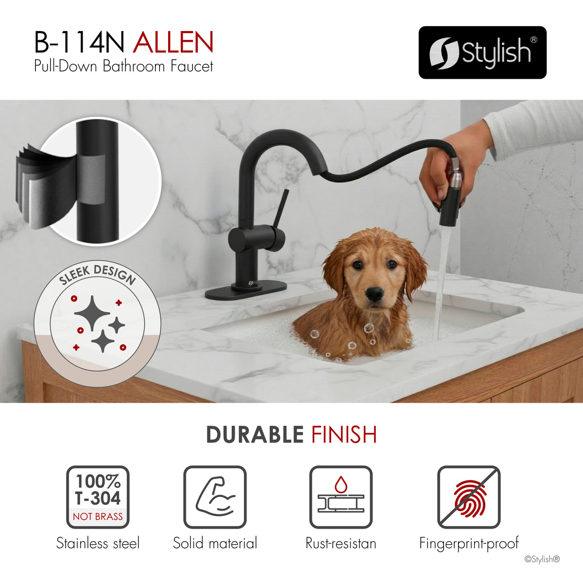 Stylish Aleen Bathroom Faucet Single Handle Matte Black B-114N