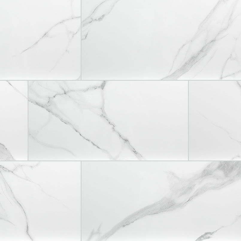 MSI Dymo Statuary 12 x 24 Glossy Ceramic tile (NDYMSTAWHI1224G-N) – MSI product image