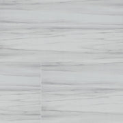 MSI Eden Dolomite 24 x 48 Matte Porcelain tile (NEDEDOL2448) – MSI product image