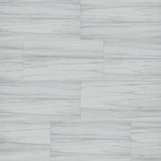 MSI Eden Dolomite 12 x 24 Polished Porcelain tile (NEDEDOL1224P) – MSI product image