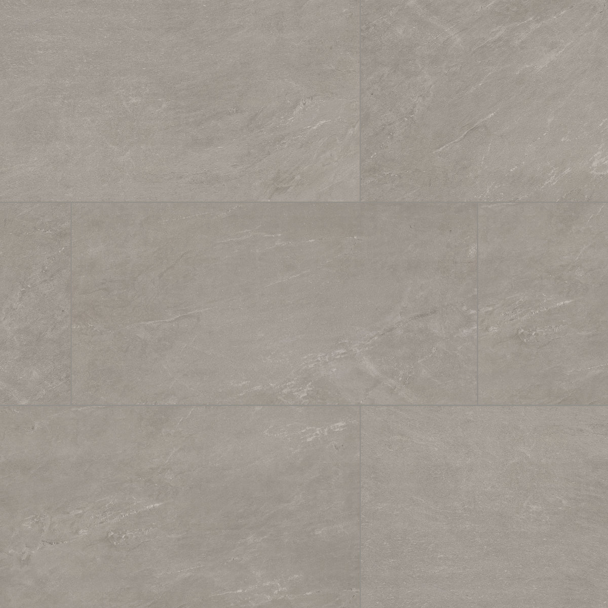 MSI Elbe Ash 12 x 24 Lappato Porcelain tile (NELBASH1224L-3D) – MSI product image