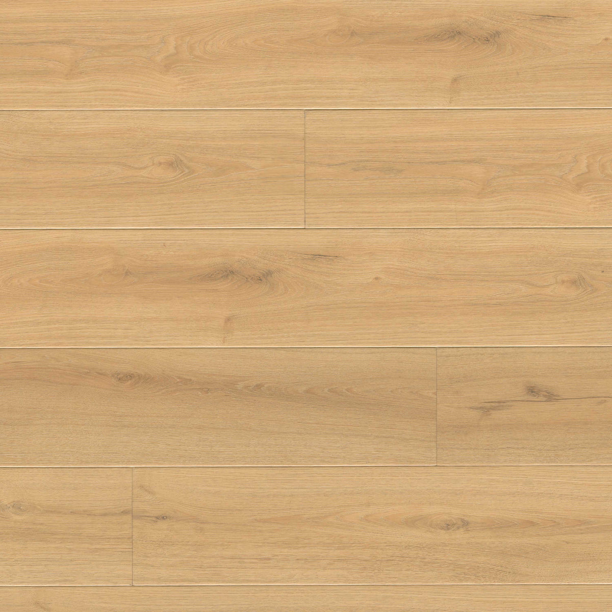 MSI Wayne Parc Elwood luxury vinyl plank 9 x 60 (VTRELWOOD9X60-10MM-22MIL)