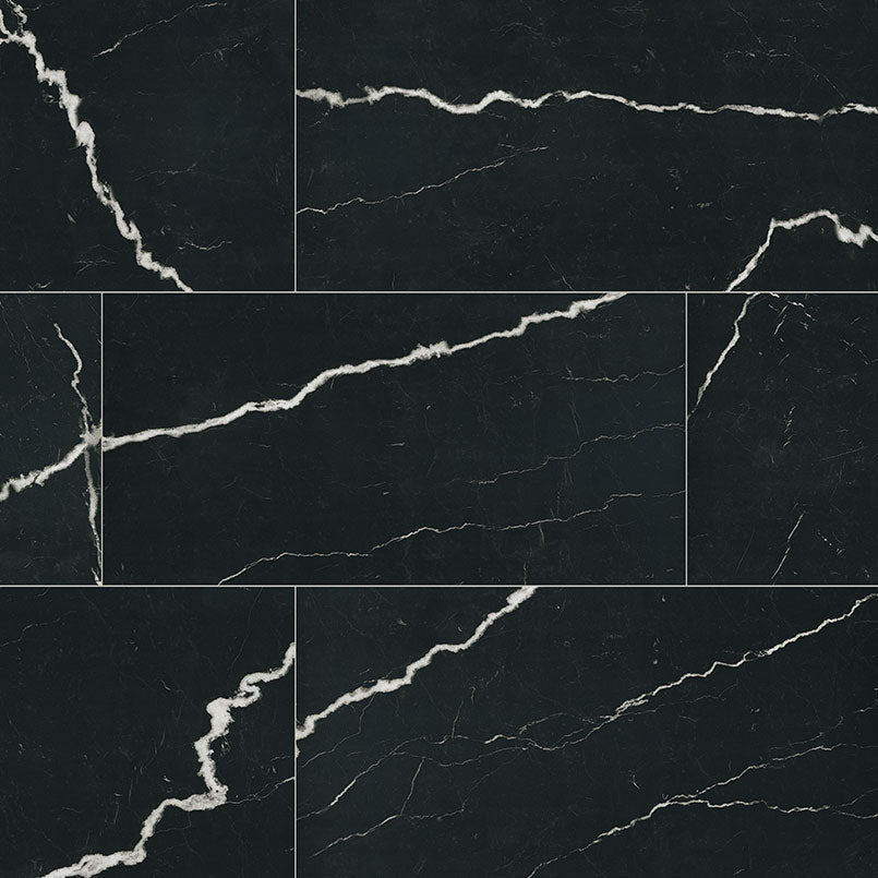 MSI Exotika Soho Noir 24 x 48 Polished Porcelain tile (NSOHNOI2448P) – MSI product image