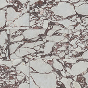 MSI Exotika Violetta 24 x 48 Polished Porcelain tile (NVIO2448P) – MSI product image