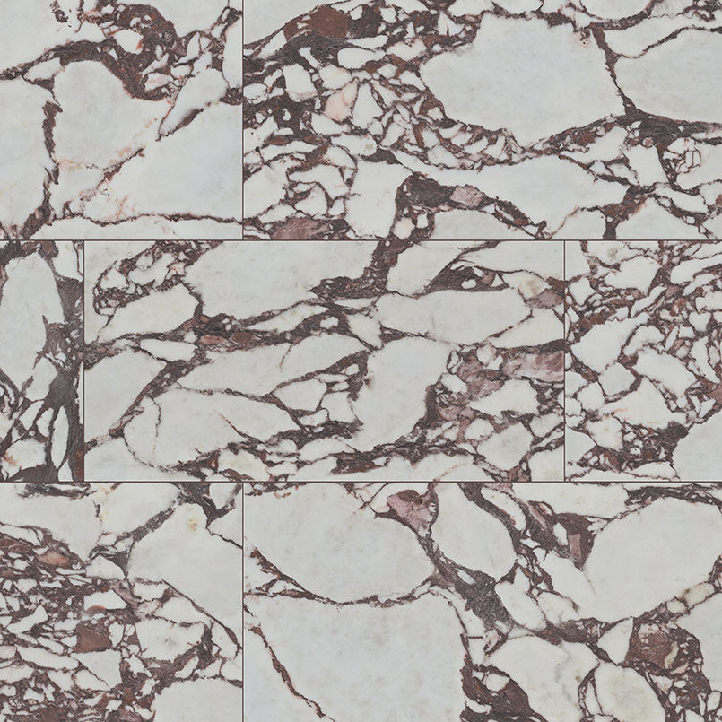 MSI Exotika Violetta 24 x 48 Polished Porcelain tile (NVIO2448P) – MSI product image
