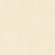 MSI Architecta Glacier 48 x 48 Matte Porcelain tile (NARCGLA4848-R11) – MSI product image