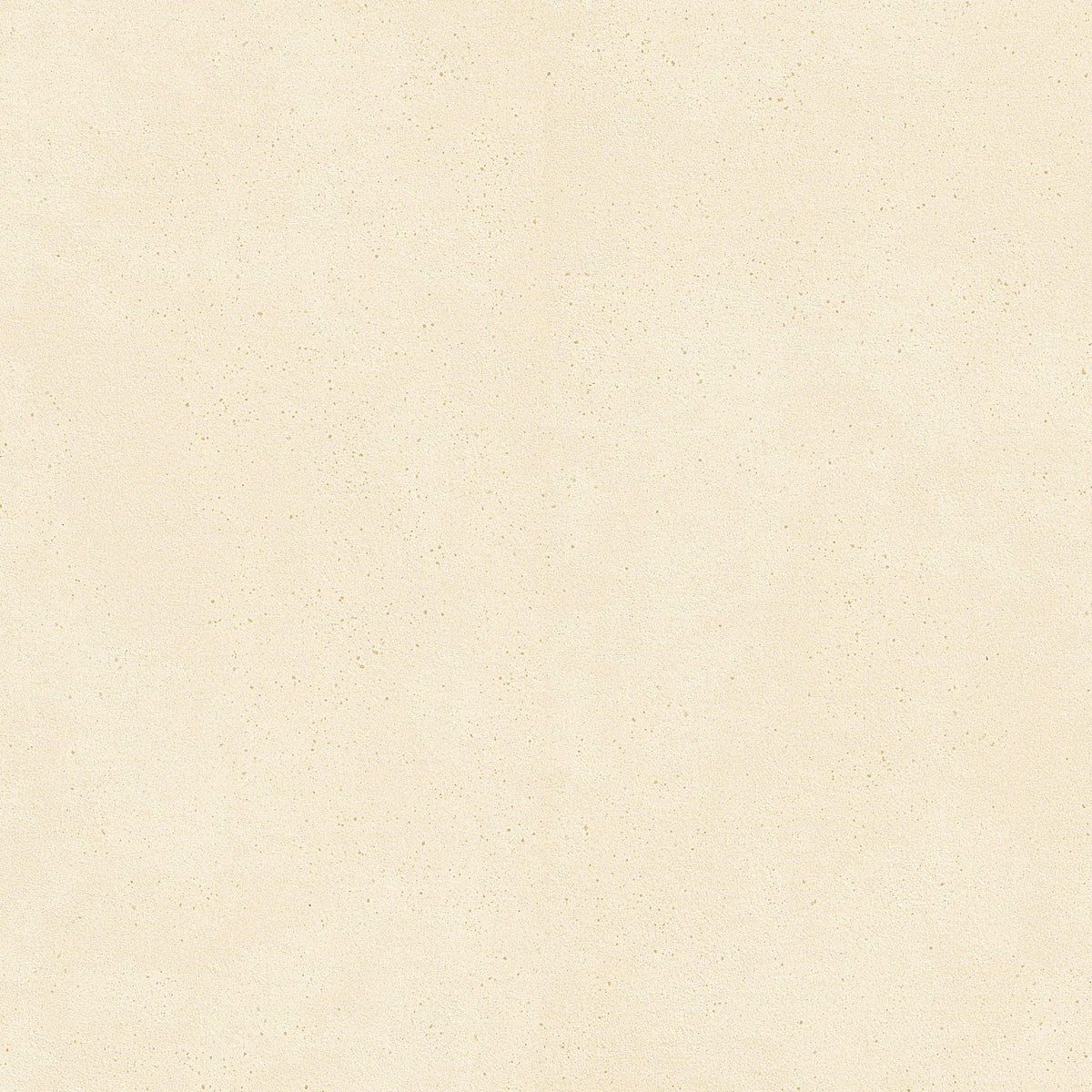 MSI Architecta Glacier 48 x 48 Matte Porcelain tile (NARCGLA4848-R11) – MSI product image