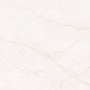 MSI Brighton Gold 48 x 48 Matte Porcelain tile (NBRIGOL4848) – MSI product image