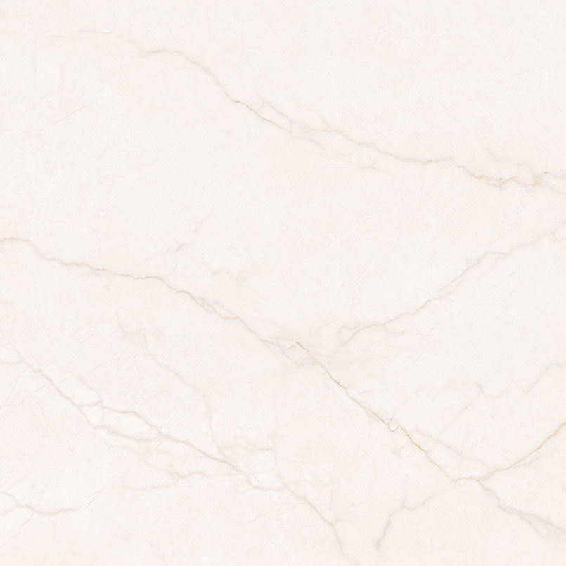 MSI Brighton Gold 48 x 48 Matte Porcelain tile (NBRIGOL4848) – MSI product image