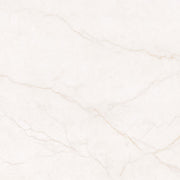 MSI Brighton Gold 48 x 48 Polished Porcelain tile (NBRIGOL4848P) – MSI product image