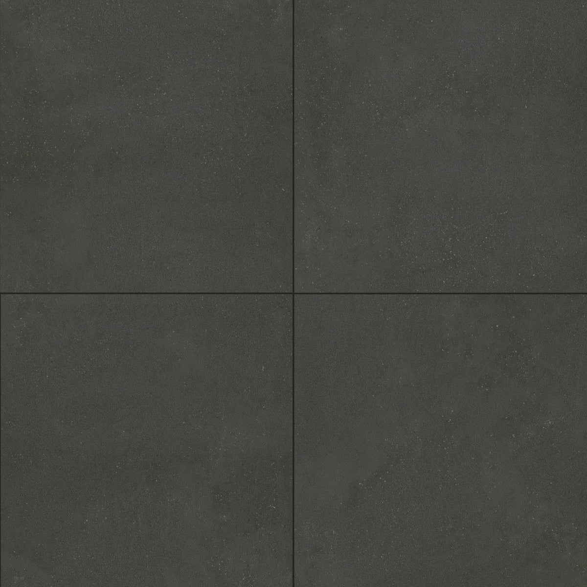 MSI Architecta Graphite 24 x 24 Matte Porcelain tile (NARCGRA2424-R11) – MSI product image