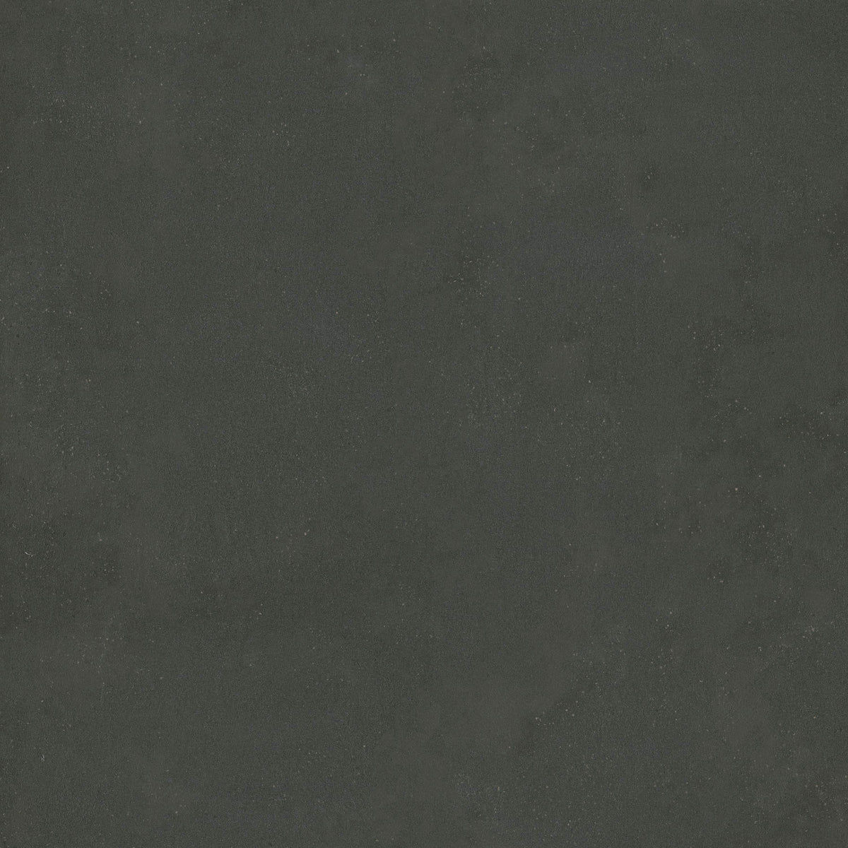 MSI Architecta Graphite 48 x 48 Matte Porcelain tile (NARCGRA4848-R11) – MSI product image