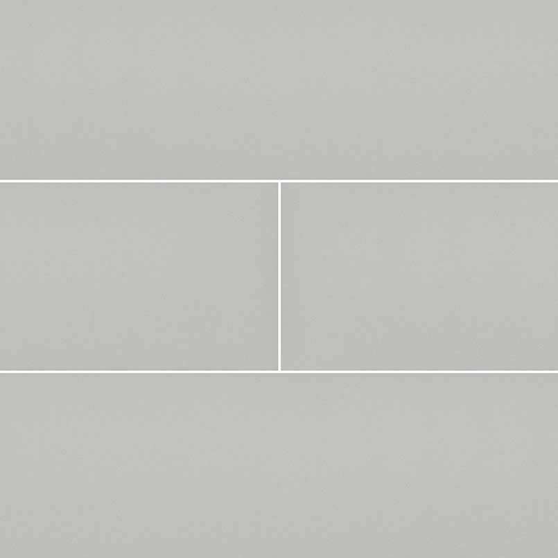 MSI Gray 4 x 16 Glossy Ceramic tile (NGRAGLO4X16-N) – MSI product image