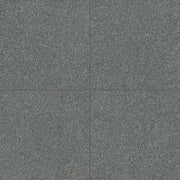 MSI Gray Mist Granite natural stone pavers 24 x 24 (LPAVGGRYMST2424FL)