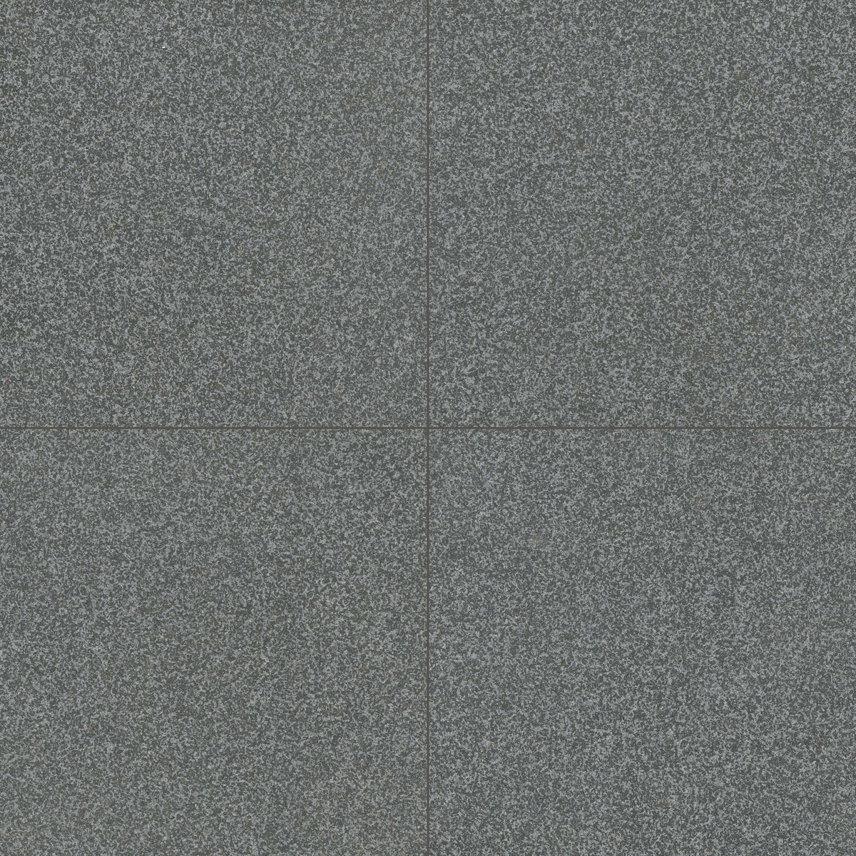 MSI Gray Mist Granite natural stone pavers 24 x 24 (LPAVGGRYMST2424FL)
