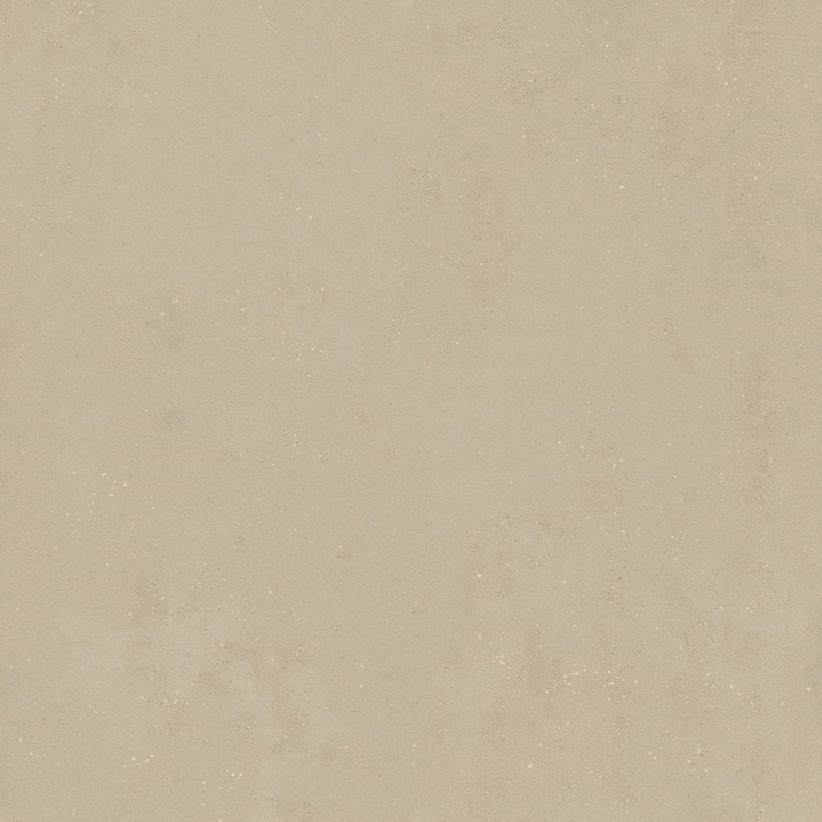 MSI Architecta Greige 48 x 48 Matte Porcelain tile (NARCGRE4848-R11) – MSI product image