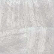 MSI Praia Grey 24 x 24 Matte Porcelain paver (LPAVNPRAGRE2424) – MSI product image