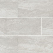 MSI Praia Grey 12 x 24 Polished Porcelain tile (NPRAGRE1224P) – MSI product image