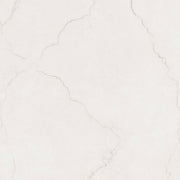 MSI Brighton Grey 48 x 48 Matte Porcelain tile (NBRIGRE4848) – MSI product image