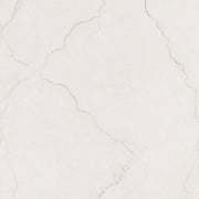 MSI Brighton Grey 48 x 48 Polished Porcelain tile (NBRIGRE4848P) – MSI product image