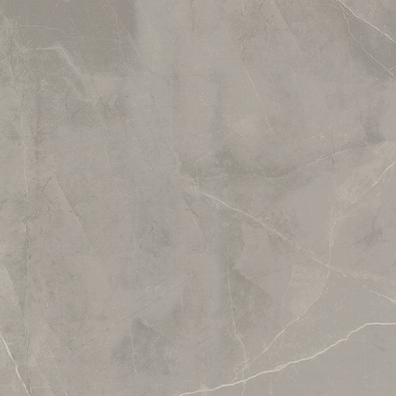 MSI Sande Grey 48 x 48 Polished Porcelain tile (NSANGRE4848P) – MSI product image