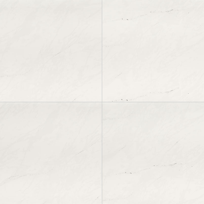 MSI Aria Ice 24 x 24 Polished Porcelain tile (NARICE2424P) – MSI product image