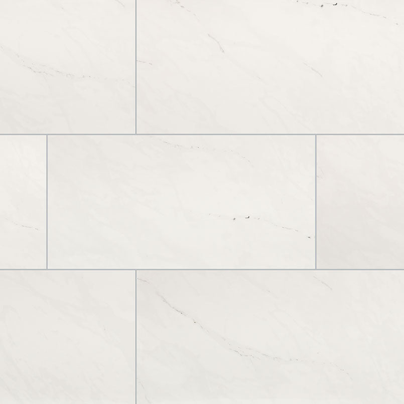 MSI Aria Ice 24 x 48 Polished Porcelain tile (NARICE2448P) – MSI product image