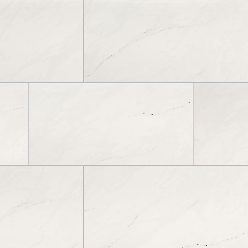 MSI Aria Ice 12 x 24 Polished Porcelain tile (NARICE1224P) – MSI product image