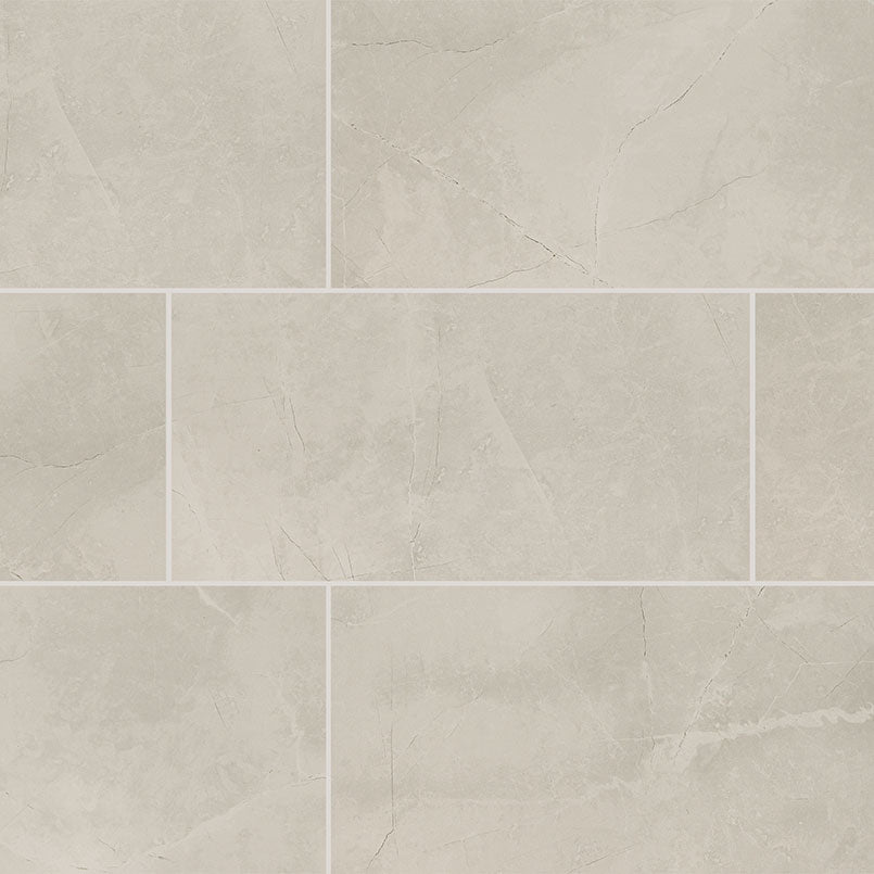 MSI Sande Ivory 12 x 24 Matte Porcelain tile (NSANIVO1224) – MSI product image