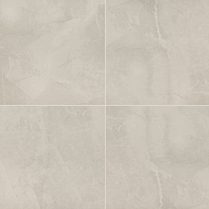 MSI Sande Ivory 24 x 24 Matte Porcelain tile (NSANIVO2424) – MSI product image