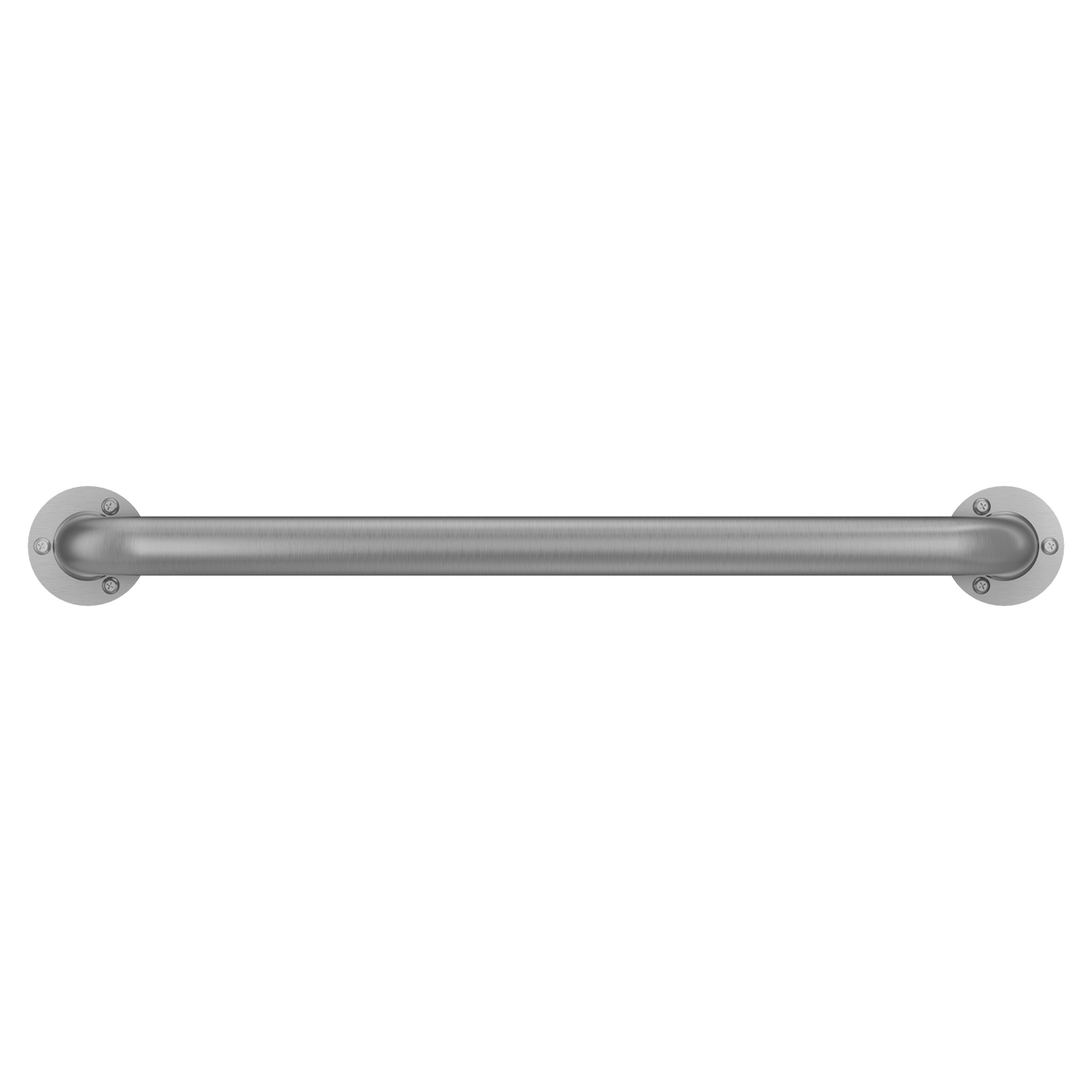 Moen Home Care 24" Exposed Screw Grab Bar LR7524 in Stainless (LR7524)