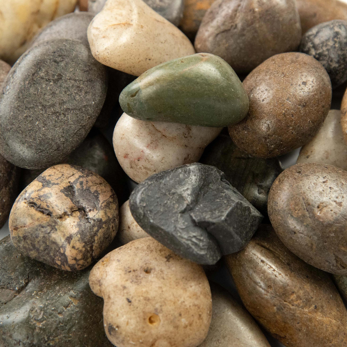MSI Mixed Polished pebbles (LPEBMMIX5POL40)