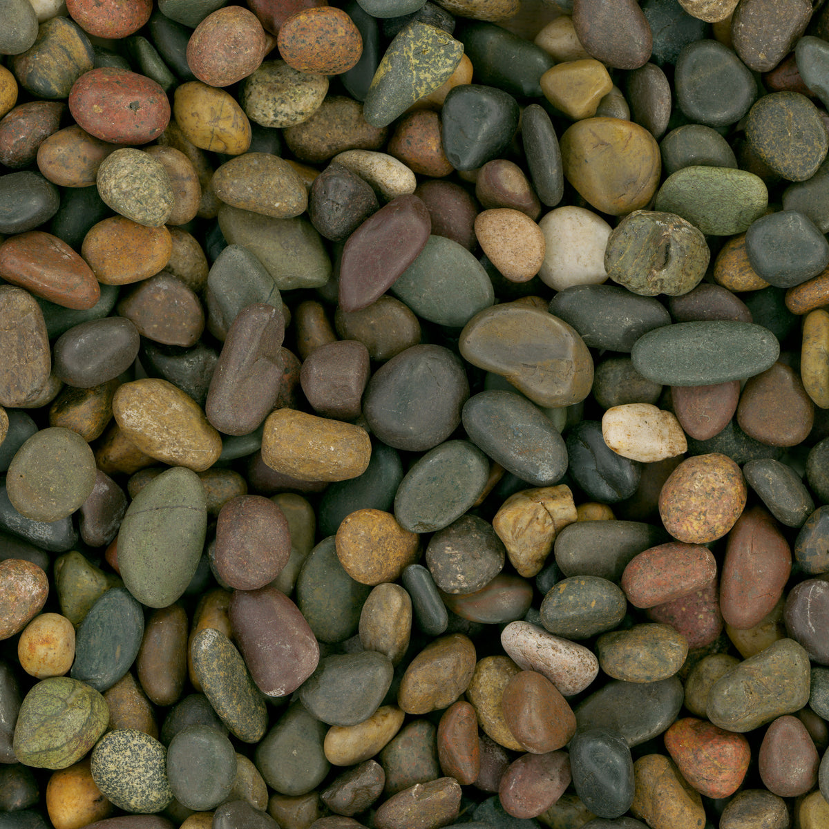 MSI Mixed Polished pebbles (LPEBMMIX3POL40)