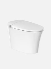 Ecoway Mono 2.0 Smart Toilet TA-X562ZD — Plumbing Market Canada