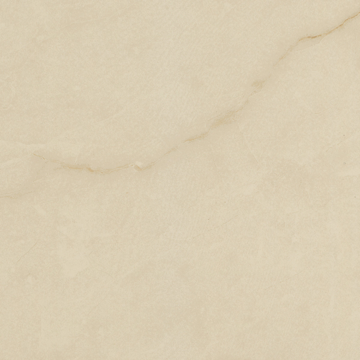 MSI Brighton Crema 48 x 48 Polished Porcelain tile (NBRICRE4848P) – MSI product image