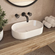 Neptune Alta Oval Ceramic Sink in White