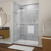 Neptune Barena 56-60 x 76 in 8mm Bypass Shower Door for Alcove Installation