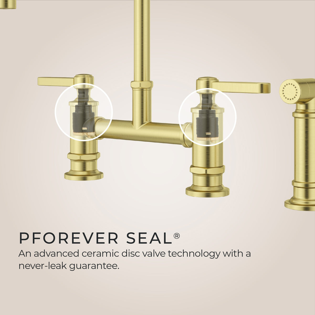 Pfister LG31-TDBG Brushed Gold - detail 1