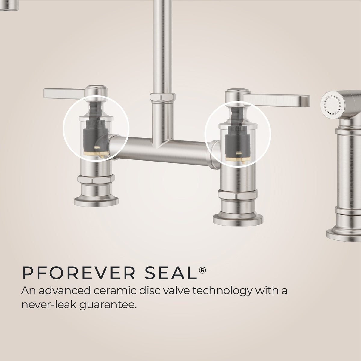 Pfister LG31-TDS Stainless Steel - detail 2