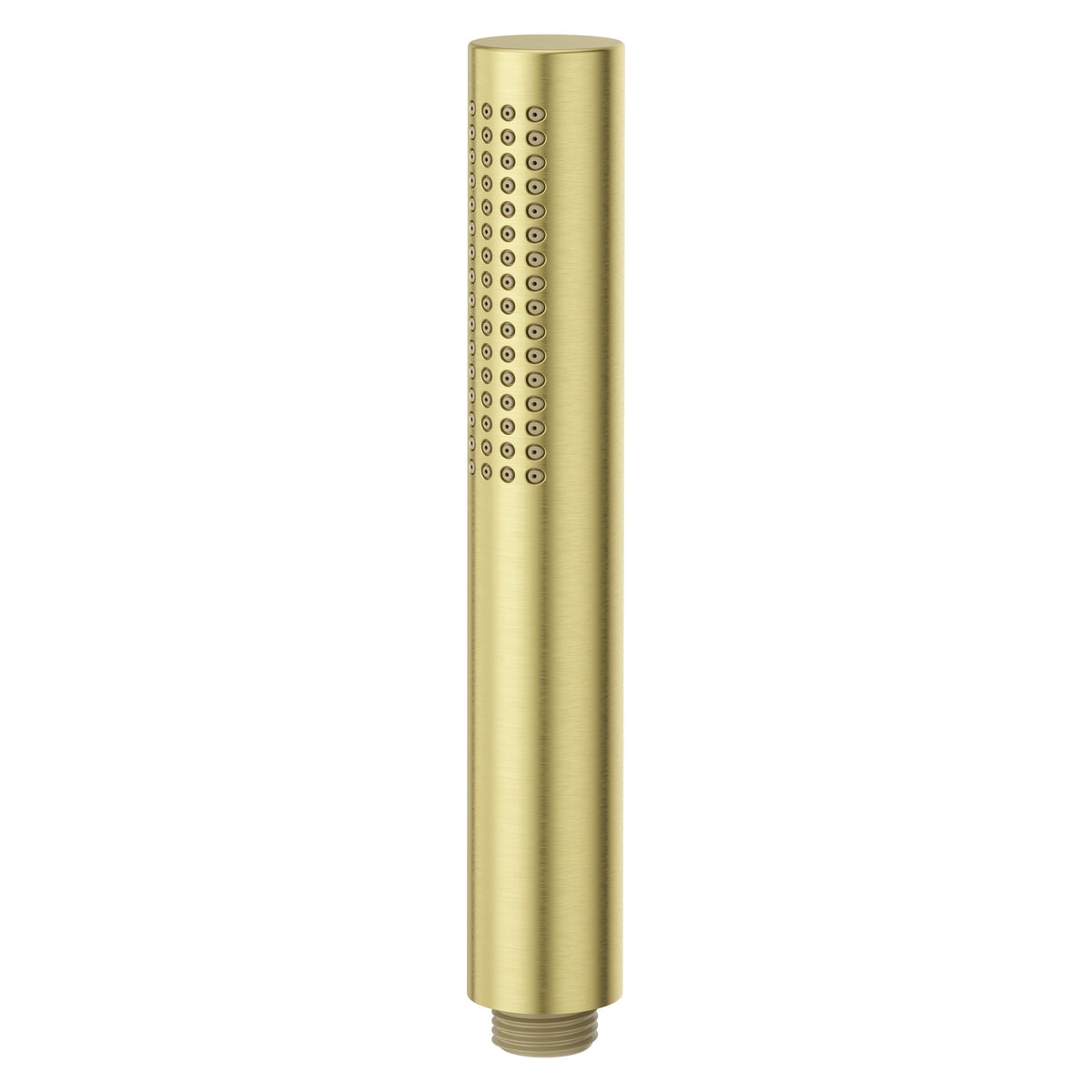 Pfister Modern Round Single Function Hand Shower Wand in Brushed Gold