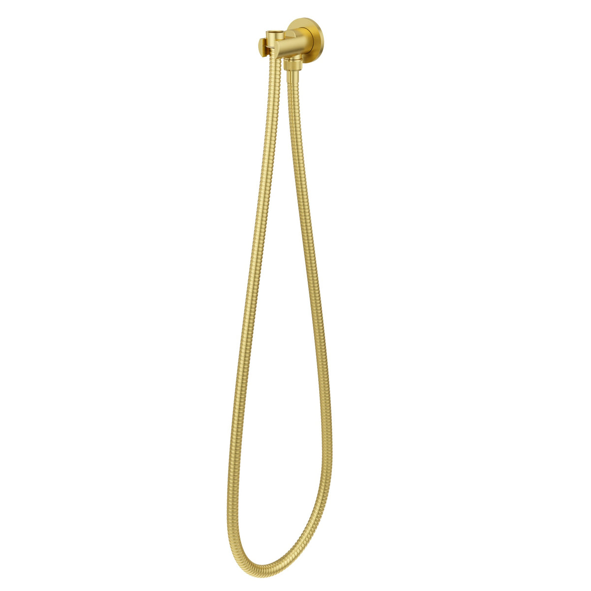 Pfister Modern Round 2-Piece Handshower Holder Kit in Brushed Gold