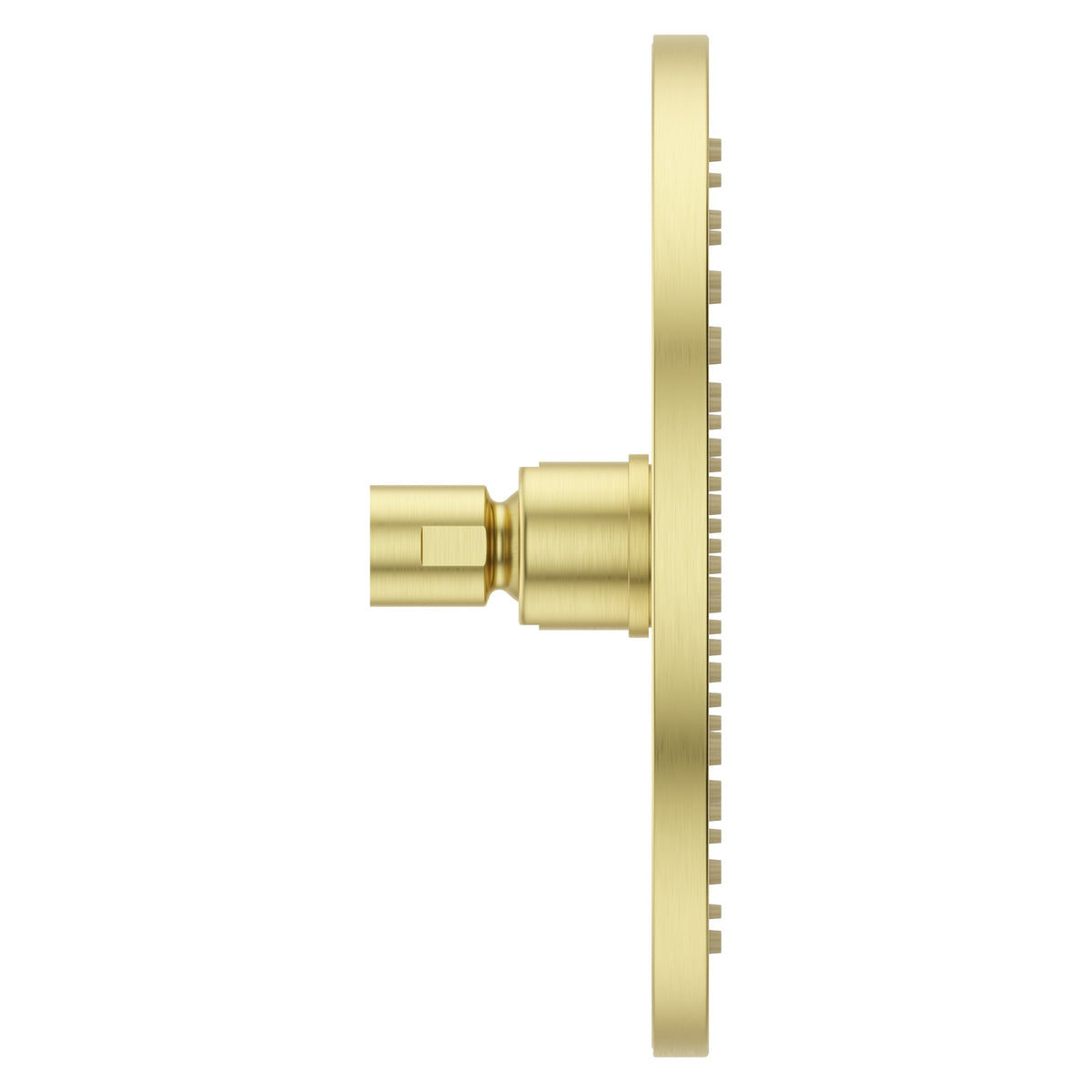 Pfister Modern Round 8" Raincan Showerhead in Brushed Gold - view 2