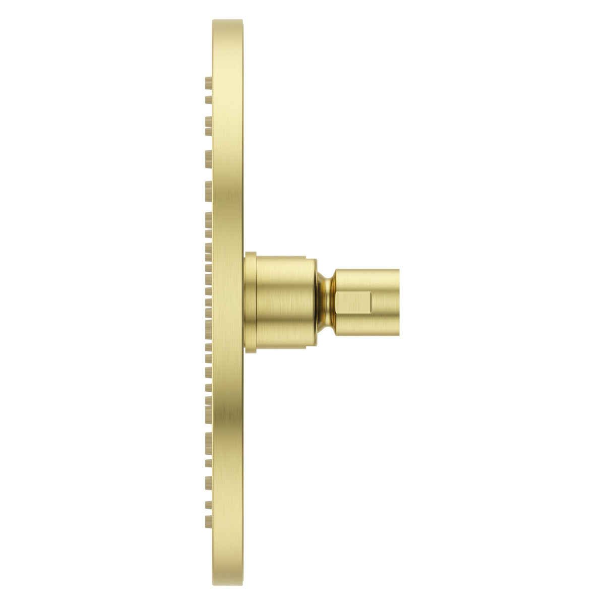 Pfister Modern Round 8" Raincan Showerhead in Brushed Gold - view 3