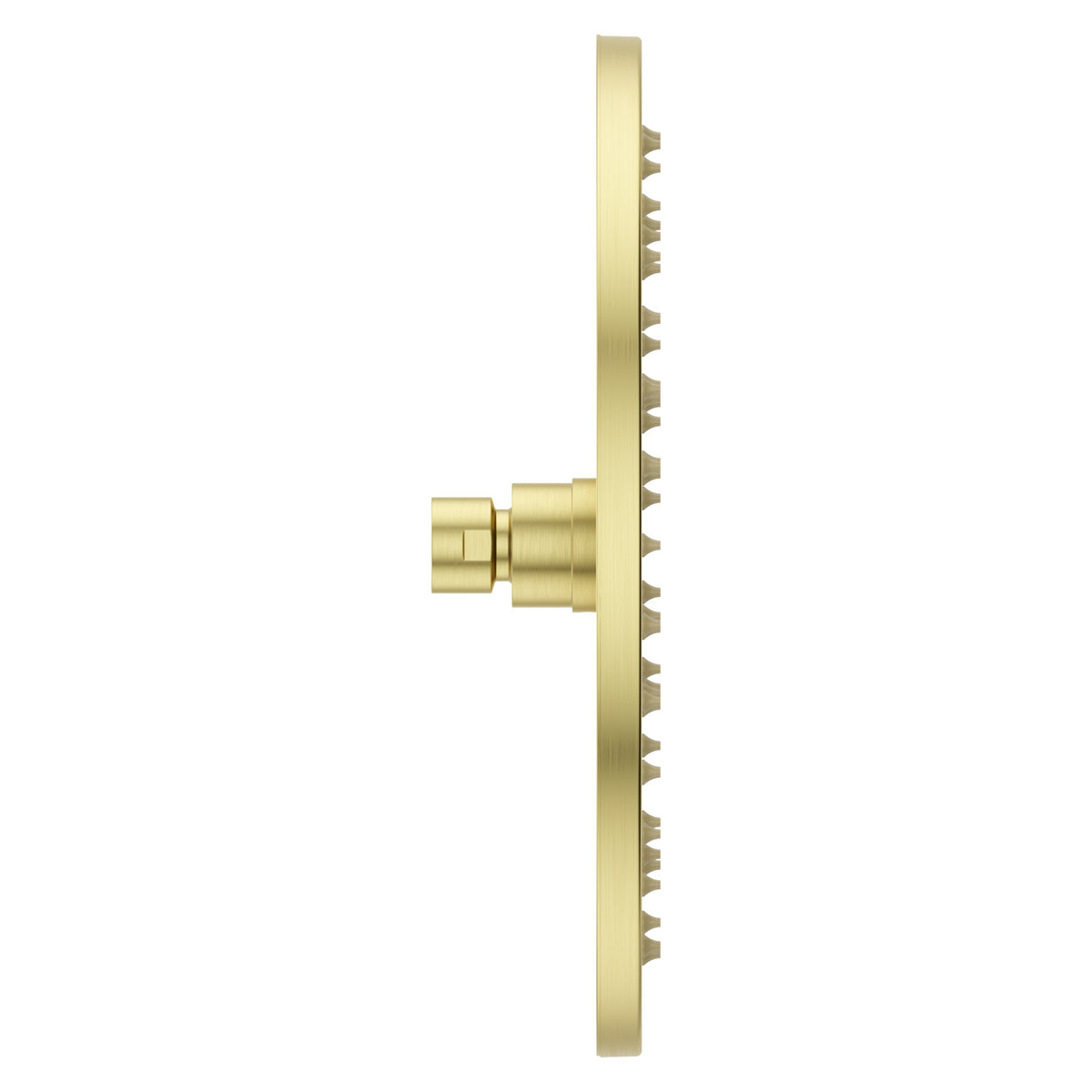 Pfister Modern Round 10" Raincan Showerhead in Brushed Gold - view 2