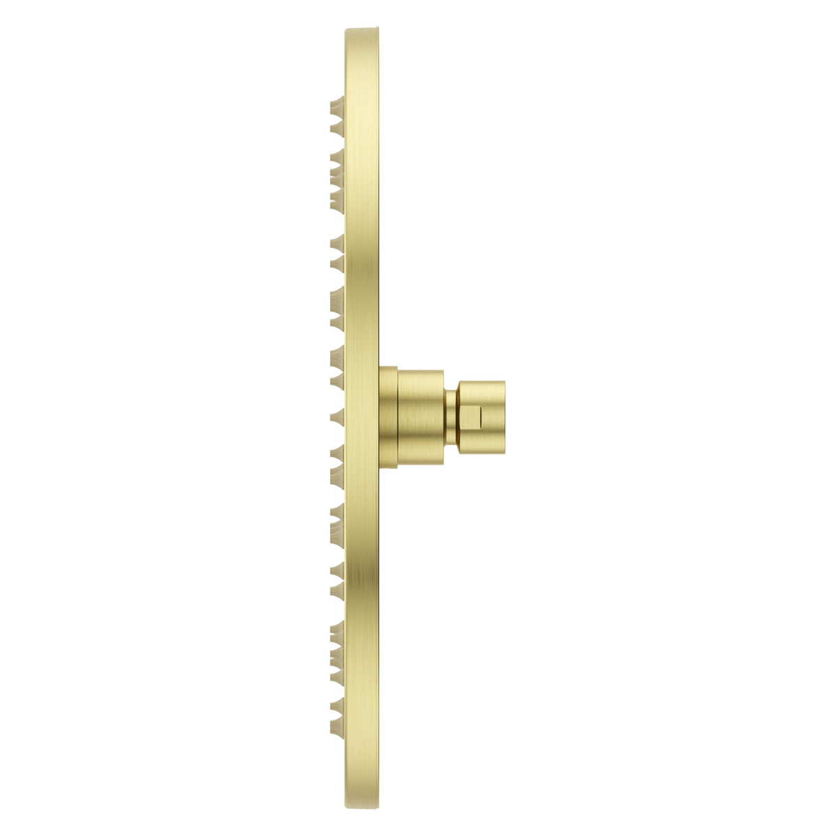 Pfister Modern Round 10" Raincan Showerhead in Brushed Gold - view 3