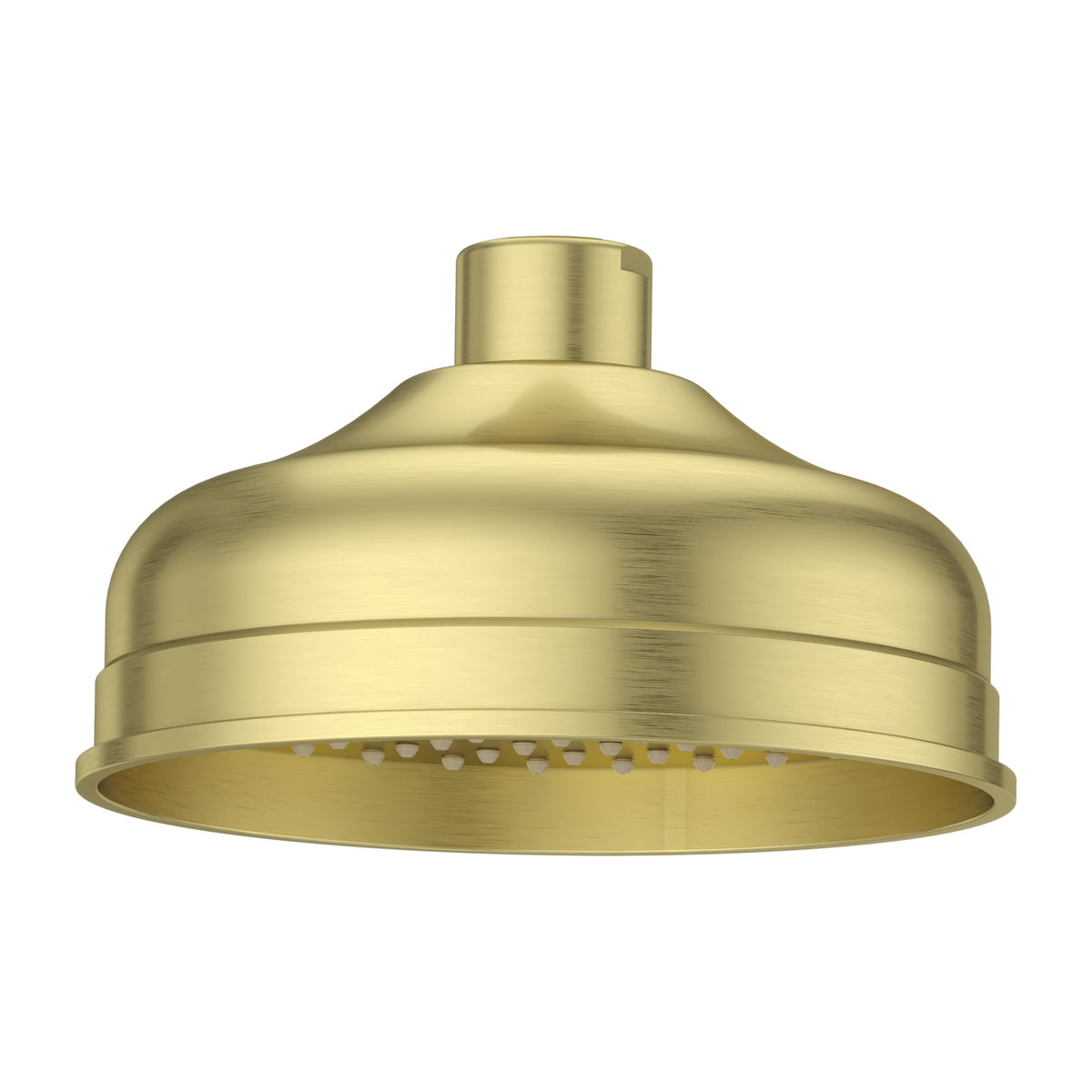 Pfister Tisbury Single Function Raincan Showerhead in Brushed Gold