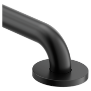 Moen Home Care 48" Grab Bar R8748 in Matte Black (R8748BL)