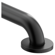 Moen Home Care 48" Concealed Screw Grab Bar R8948 in Matte Black (R8948BL)
