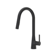 Riobel Pro Bobbi Pull-Down Kitchen Faucet BB101 in Black